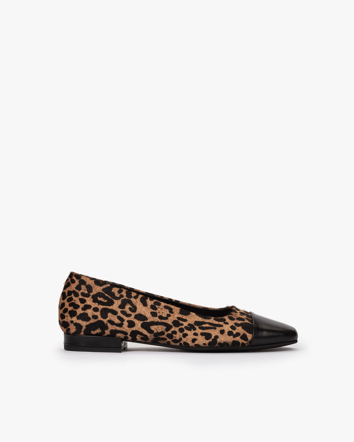 HORSY JAGUAR