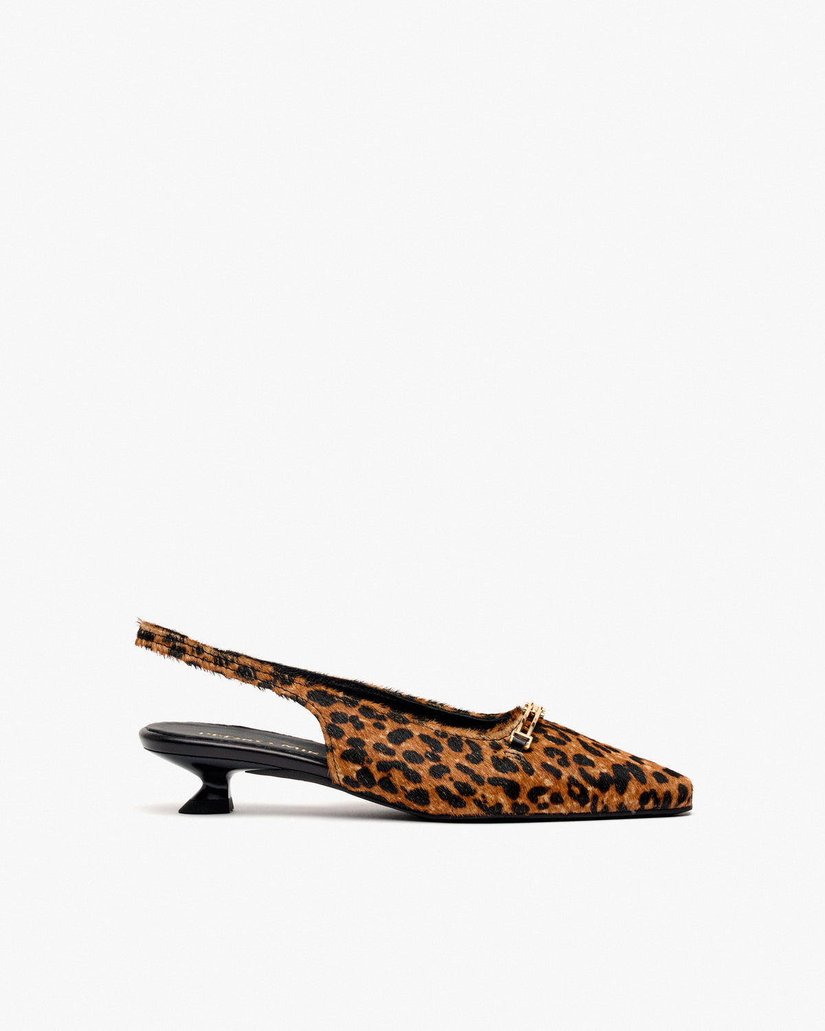 HORSY JAGUAR