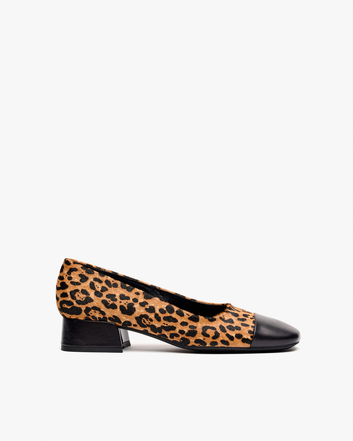 HORSY JAGUAR