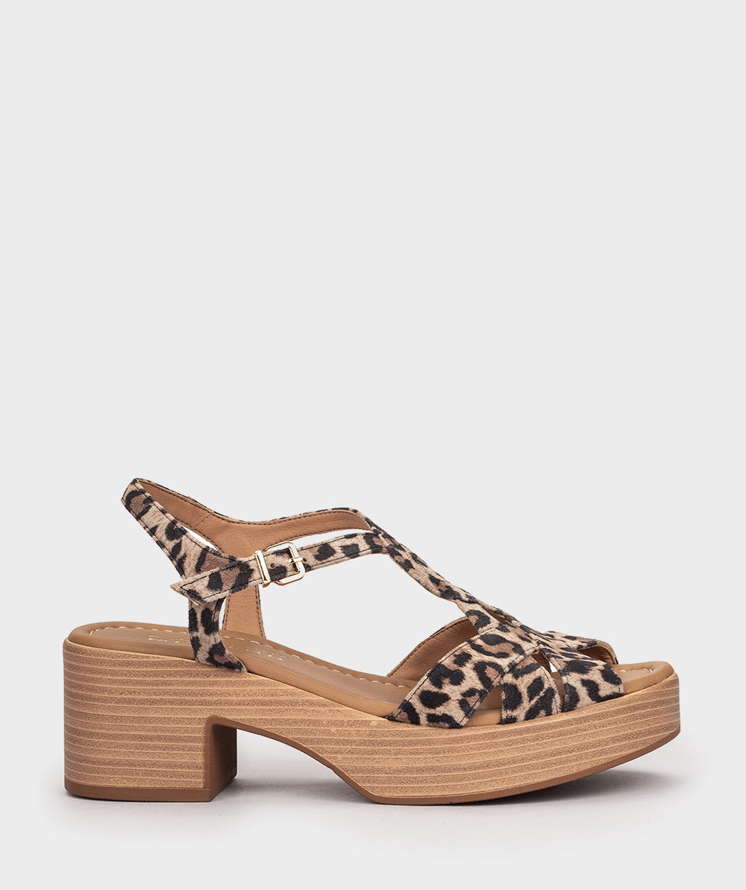 ANTE LEOPARDO CAMEL