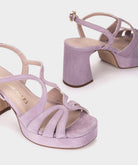ANTE MALVA